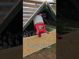 Moving 100 chicken tractor by hand #chickens #farm #offgridliving #offgridlife #farm #homestead