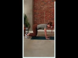 Resistance Training For Bone Strength: Plank