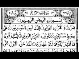 Surah Yaseen | Yasin | Episode 0037| Daily Quran Tilawat Surah Yasin Surah Rahman Full With Arabic