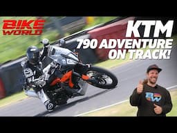 KTM 790 ADVENTURE LONGTERM TEST | TO THE TRACK!