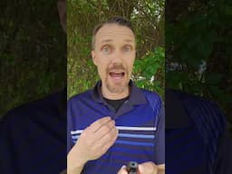 Catholic Priests NEED to Teach the Truth! (Catechize Catholics)