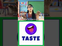 Miss V Teaching the 5 Senses