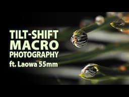 Tilt-Shift Macro Photography ft. Laowa T/S 55mm f/2.8 1X