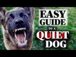 How to STOP Your Dog’s Obsession with Nonstop Barking