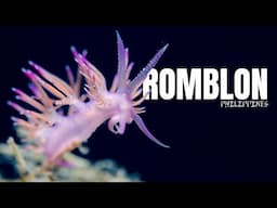 Creatures of the deep (Romblon in 4k)