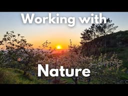 Planting Trees & Growing Food on our Portuguese Homestead