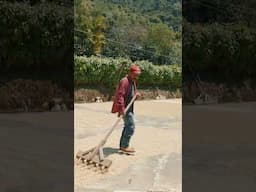 How coffee goes from the farm to your cup #makingcoffee