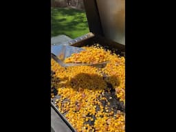 The best summer side dish