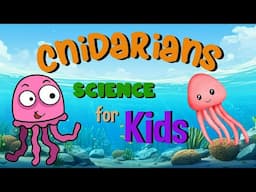 Cnidarians | Science for Kids