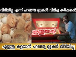 വിരിയില്ലെന്ന് പറഞ്ഞ് കളയാൻ പറഞ്ഞ മുട്ട വിരിയിച്ച കർഷകൻ |egg hatching in incubator malayalam