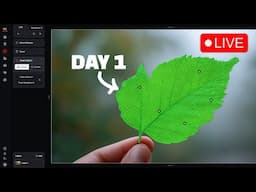 Learning to Master Midjourney's New Editor