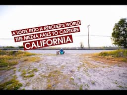 Inside California's Heartbreak 🇺🇸 What Media Fails To Capture