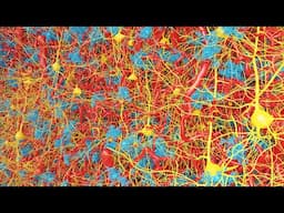Modeling metabolism in the aging brain | Frontiers in Science