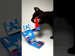 Cat ASMR Mukbang Eating Minecraft Sword