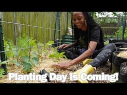 Onion Mystery Solved | Chatting Over Worm Care | Saying Goodbye to Fall (No More Broccoli Shoots)