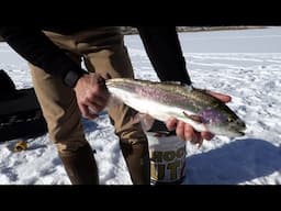 Ice fishing for Rainbow Trout on  Snowmobiles