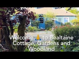 Bealtaine Cottage is live ❤️ Stop the Genocide in Gaza!