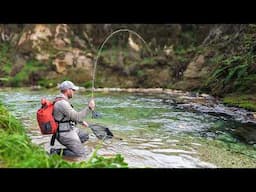 Big Trout + Clear Water = Incredible Fishing