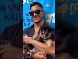Charlie the Star Pup Gets Realigned—And It’s Paw-some!