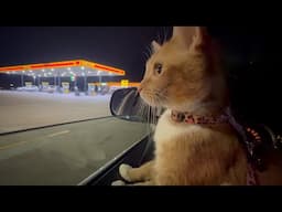 Sleeping in our car at a truck stop. How we find our spot and bedtime routine
