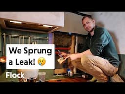 We SPRUNG A LEAK in the Cottage — Ep. 299