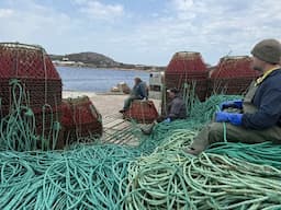 Last Of Snow Crab Fishing  2025