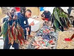 A FISHERMAN BIG CATCH