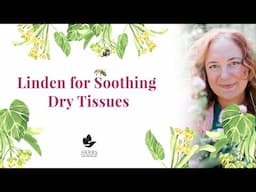 Linden Tea Benefits for Dry, Inflamed Tissues
