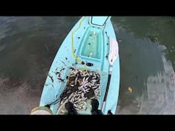 Quick Release Anchor System and Live Well Testing.  Solo Skiff #14.