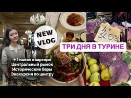 ЕЩЕ ОДНА КВАРТИРА В ТУРИНЕ | Экскурсия по центру и самые красивые бары | Влог Турин