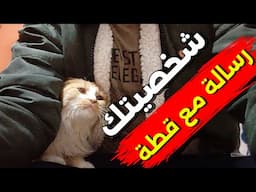 رسائل من الله اذا اقتربت منك قطة  " ستعرف طبيعة شخصيتك "