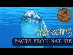 Interesting Facts from Nature | Amazing Nature Facts | Nature Connection