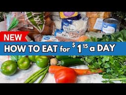 EATING FOR $1 A DAY in 2025 | EMERGENCY BUDGET MEALS