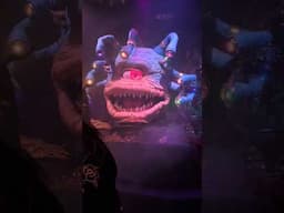 The D&D Experience at Universal Studios Hollywood!