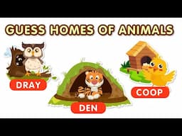 Who Lives Here? | Guess the Animal’s Home | Fun Animal Quiz for Kids | Magic Activity
