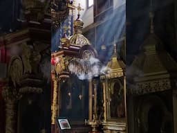 Miracles are all around us!