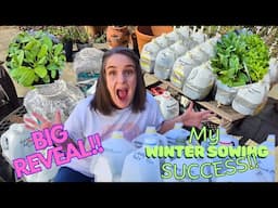 Winter Sowing BIG REVEAL! First Round Looks AMAZING!! #northtexasgarden #wintersowing
