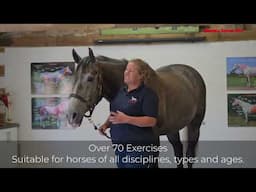 Why You Should Learn About Equine Anatomy With Gillian Higgins