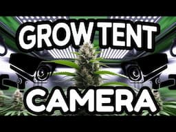 You can Spy on your Plants!! | Vivosun GrowCam C4