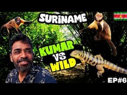 🐒🦎 காட்டுக்குள்ள தனியா குமாரு |🇸🇷 Suriname ep6