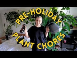 How I’m Keeping My Plants Alive While I’m Gone for 10 Days
