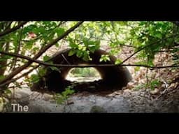 Gray & Green Infrastructure