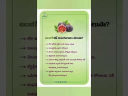 అంజీర్ పండు ఉపయోగాలు