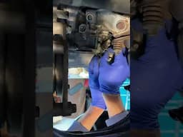 Honda disaster!