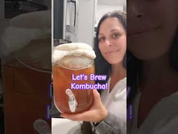 Kombucha: First Fermentation 🥂 #kombucha #firstfermentation #scoby
