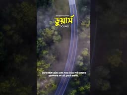 সমগ্র উত্তর-পূর্ব ভারতের প্রবেশদ্বার ডুয়ার্স অঞ্চল (DOOARS) - Assam & West Bengal #dooars