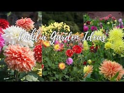 Beautiful Dahlia Garden Ideas to Brighten Your Yard With Stunning Colorful Blooms Garden Ideas