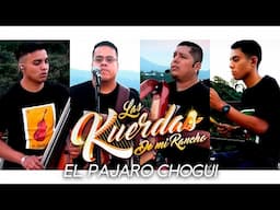PAJARO CHOGUI LAS KUERDAS DE MI RANCHO