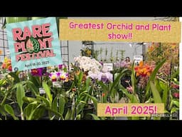 Greatest Orchid & Plant Show! Miami Rare Plant Festival! April 2025 Motes