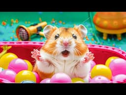 Hamster Escapes from the Bouncy Rubber Ball Maze | Hamster Maze
